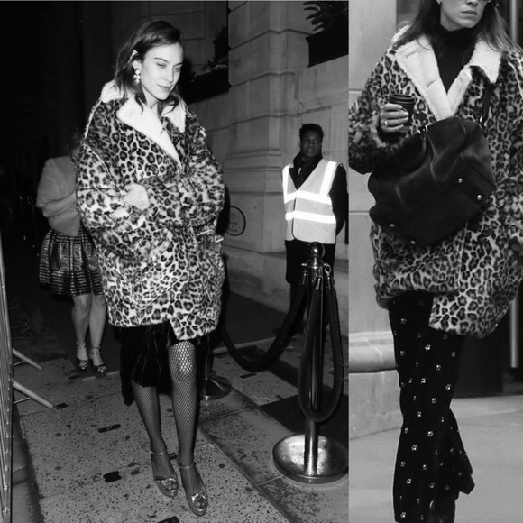 Sanctuary Sierra Faux Fur  🐆 Coat (S) - Picture 5 of 16